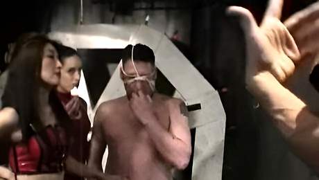 Porn with enticing goddess from Erotic Female Domination